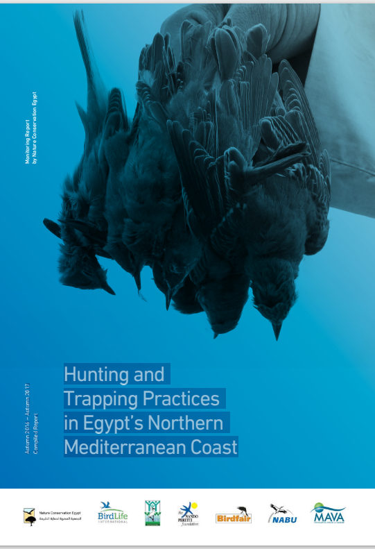 Hunting and  Trapping Practices in Egypt’s Northern Mediterranean Coast